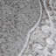 Kings Jaipur 17-5/8 In. X 17-5/8 In. Ceramic Floor And Wall Tile-287225289