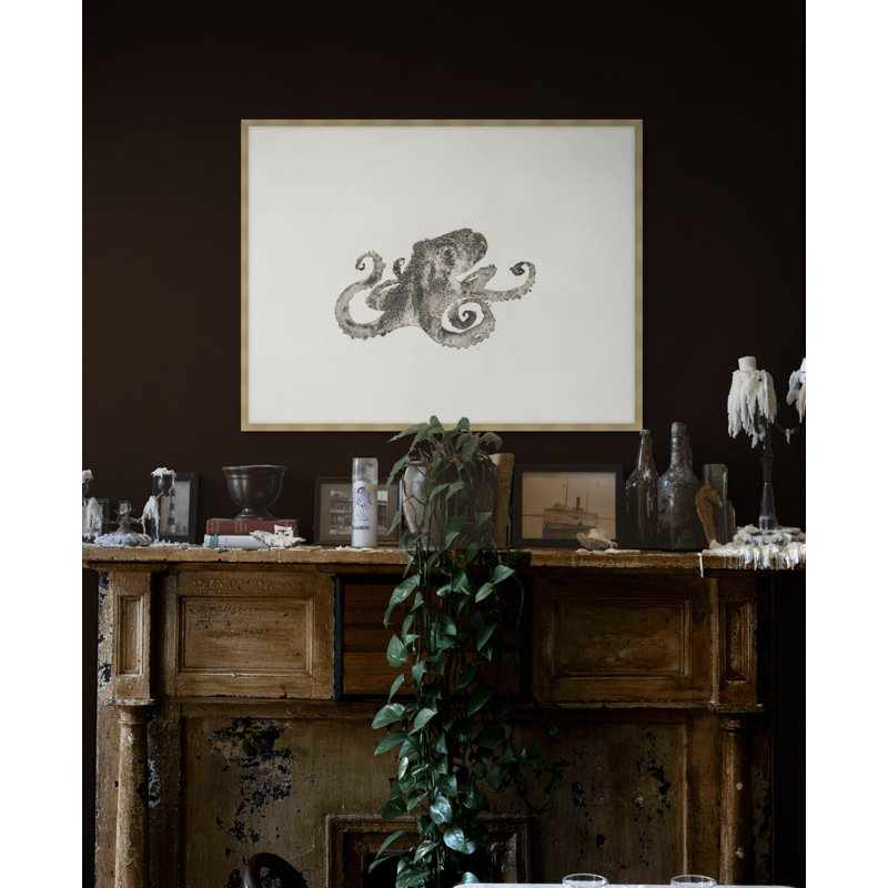 Ocean Creatures 4 Print by Kim Kimbro, 15.54" H x 19.54" W