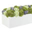 Sedum et chardon disposés dans un pot de fleurs rectangulaire