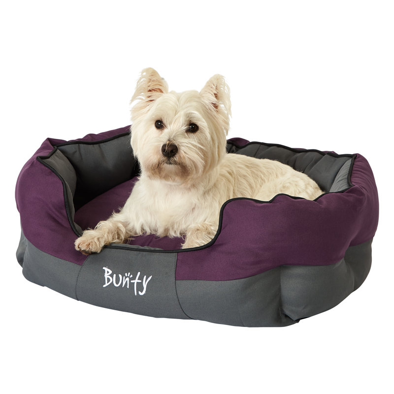 Levesque Polyester Pet Bed, Purple, 25cm H x 60cm W x 50cm D