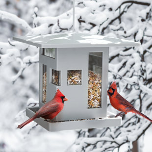 HOME-X Oriole Mangeoire à oiseaux 2 en 1, mangeoires à fruits d'extérieur  en métal pour oiseaux, mangeoire suspendue pour fenêtre, porche ou arbre