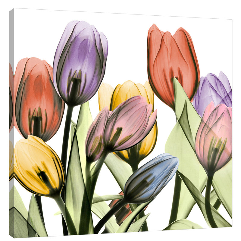Tulipscape 2 - Wrapped Canvas Print, 30cm H x 30cm W