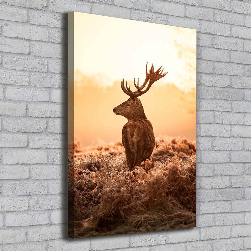 Deer Sunrise - Wrapped Canvas Print