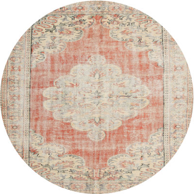 Oriental Indoor Rug