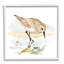 «Sandpiper Sandor» par Victoria Barnes-93958131