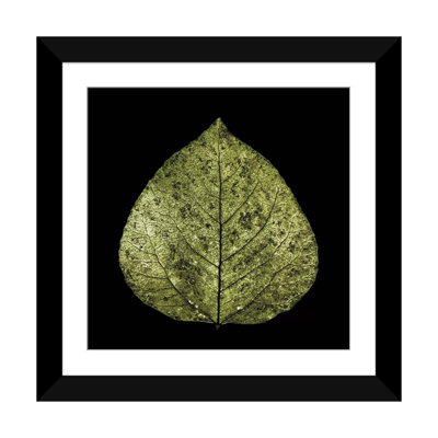 " Green Leaf " by PhotoINC Studio
