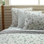 Fugace Queen flat sheet-1141735028