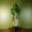 75cm Faux Plant in Pot Liner