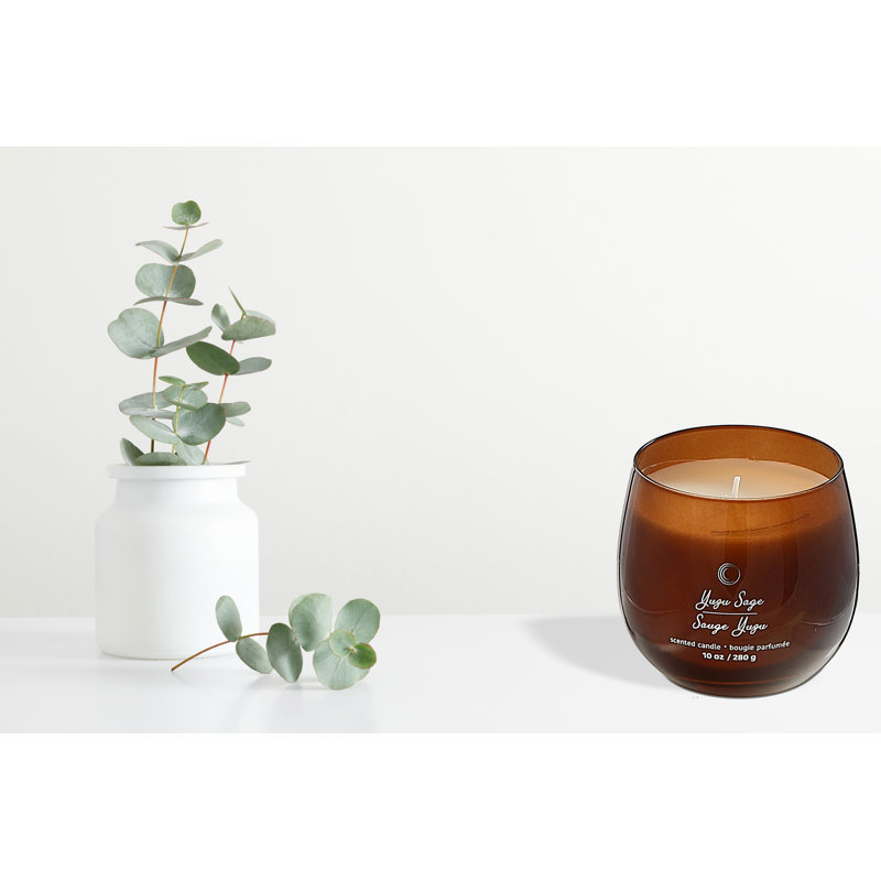 Bougie incurvée lustrée 10 oz Yuzu