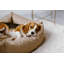 Theodis Codura Pet Bed-1062753894-1062753890-1062753891