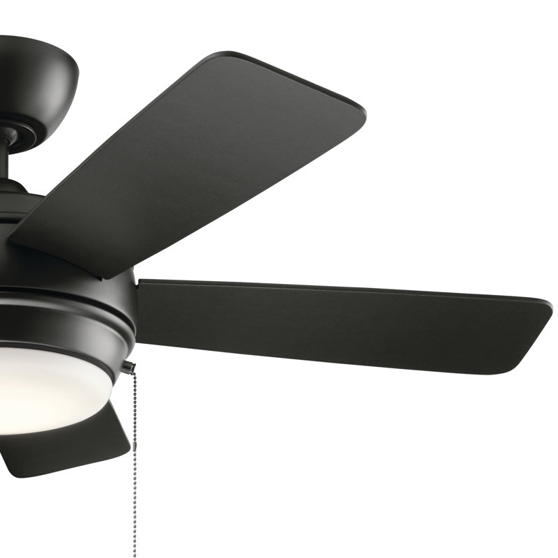 Starkk 42'' Ceiling Fan with LED Lights