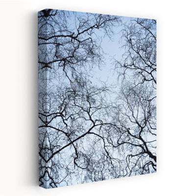 «Abstract Tree Abstract Contemporary Forest Landscape», reproduction d'art murale