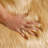 Nisar Indoor Rug-1247748227