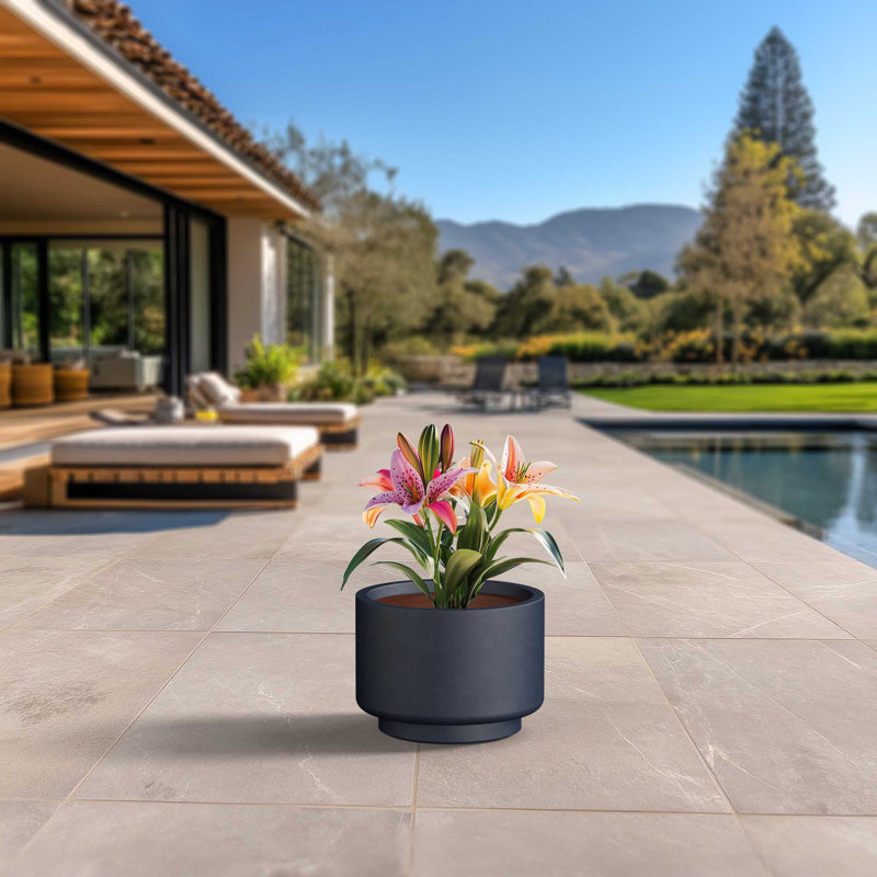 Grand pot / pot rond en béton avec trous de drainage, H 11,47 po x l 15,75 po x P 15,75 po, Gris clair (intérieur amélioré)