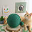 Fairela - Balle de cactus interactive en jute avec base roulante Cactus Ball
