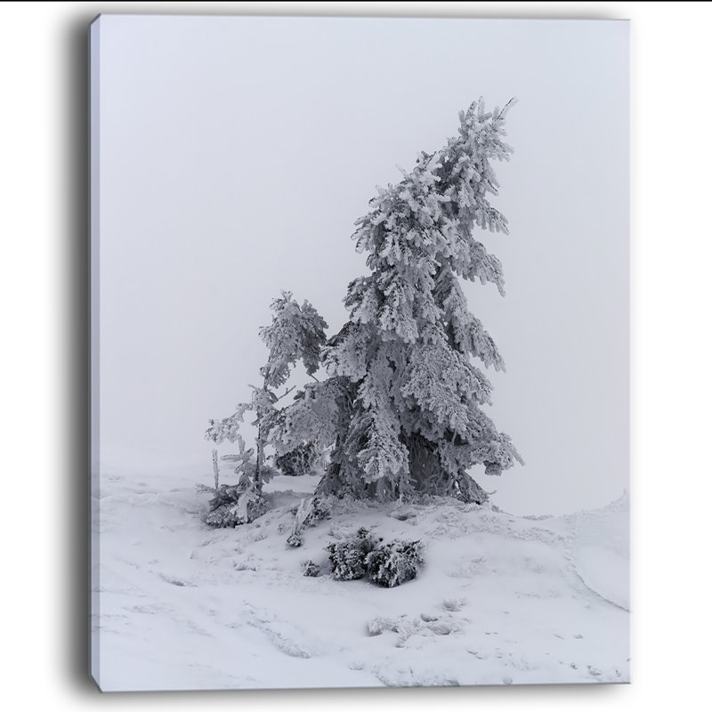 «Grayscale Valley in Frost», reproduction de photo sur toile tendue, H 40 po x l 30 po x P 1 po