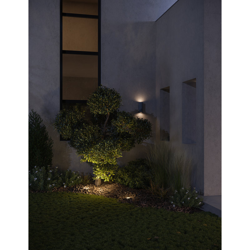 Hardy Island Low Voltage Hardwired Well Light