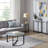 Iosep Glass Top Coffee Table