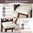 Sravan 20'' H Side Chair