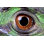 Dragon Eye par Erllre - Photographie sur toile tendue