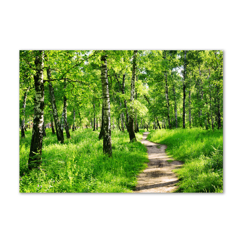 Birch Forest - Wrapped Canvas Print