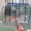 Mouse Cage