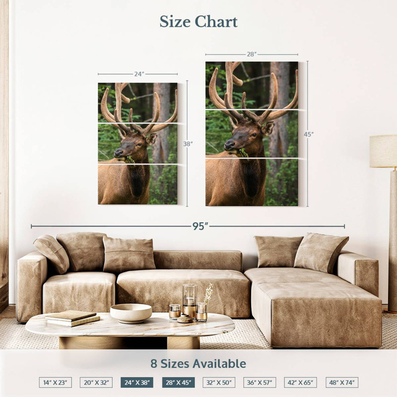 Brampt Wapiti Elk