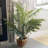 36'' Faux Palm Tree in Basket-1387137384