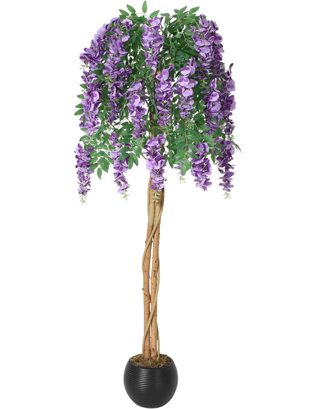 Plant, 152cm H x 15cm W x 15cm D