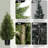 36″Artificial Cedar Tree In  a Pot a Set