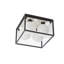 Rudin Glass Flush Mount