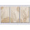 Très grand ensemble de 3 feuilles de palmier blanches, impression sur toile botanique neutre, décor scandinave moderne, impression sur toile 24 x 36 pouces - prête à être accrochée