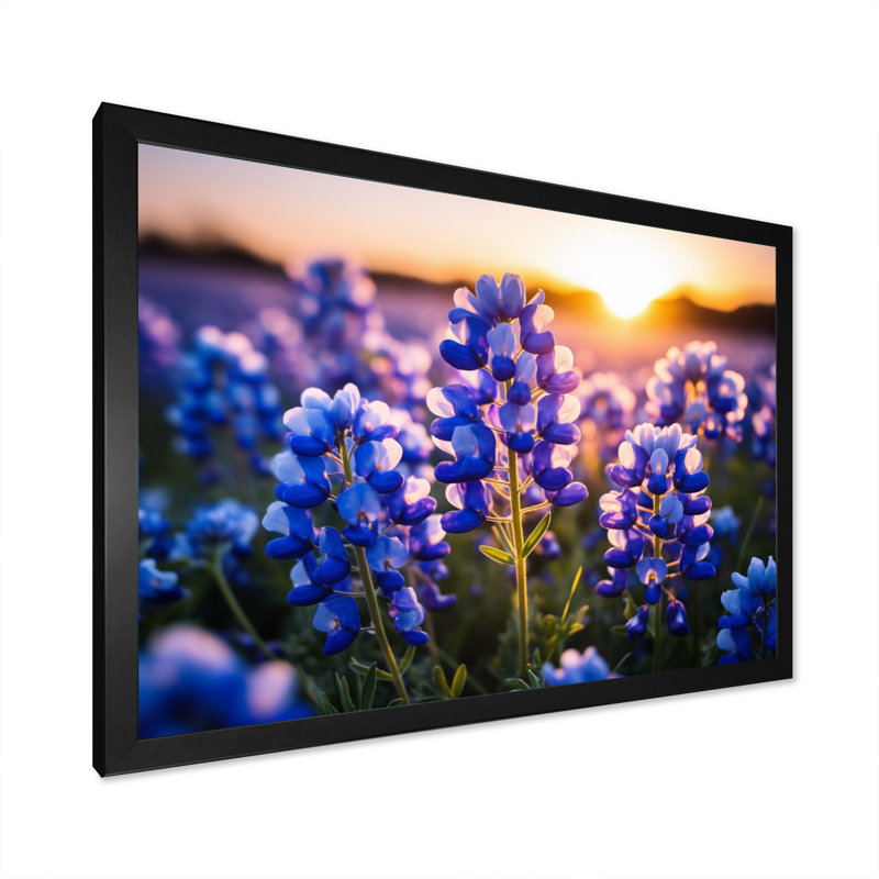 «Blue Bonnets Field Photo I», art sur toile Blue Bonnets, H 12 po x l 20 po x P 1 po, Cadre simple noir