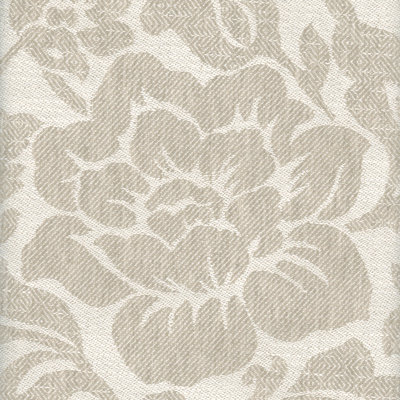 Yardley Fabric