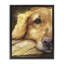 Cadre flottant Sight of Golden Retriever, design par George Dyachenko-2067189827-2067189826