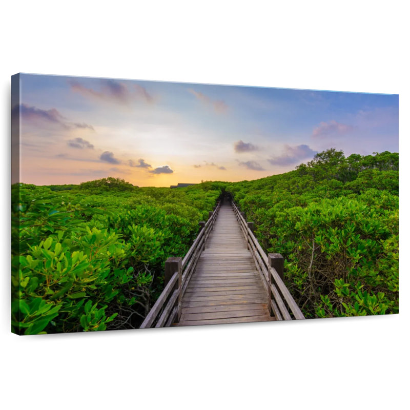 Harnek Mangrove Trail, H 8 po x l 12 po