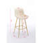 Landynn Upholstered Velvet Counter Stool-699625635