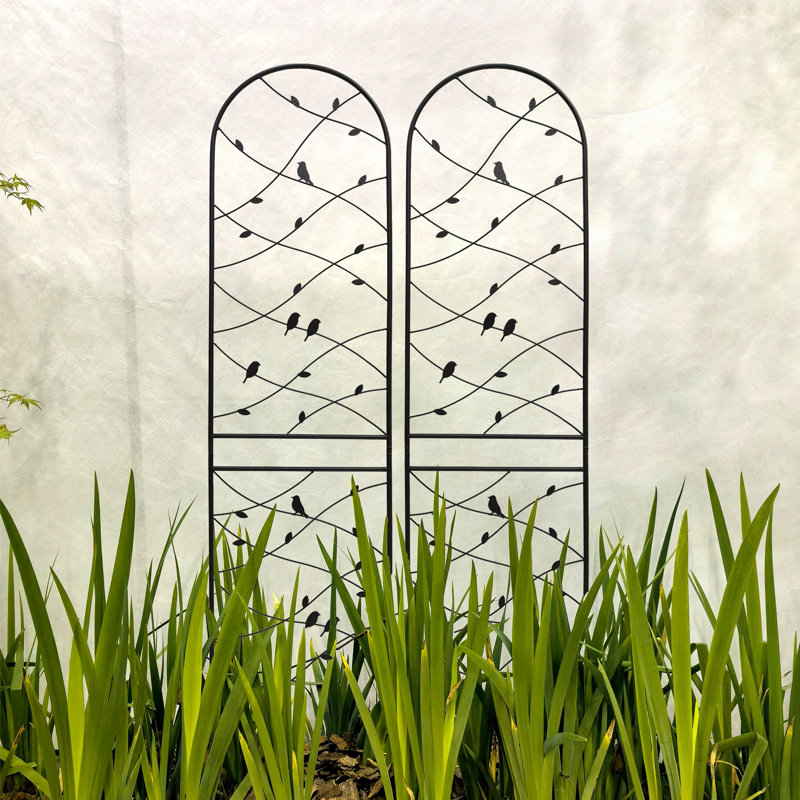 Paquet de 2 treillis de jardin en métal pour plantes grimpantes, support de fleurs extérieur antirouille et durable avec décoration d'oiseaux