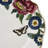 Creatures of Curiosity 4 Piece Dinner Plates Set