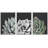 Black and White Desert Rose Echeveria Succulent Botanical Plants Framed On Canvas 3 Pieces Print-90847678-90847676