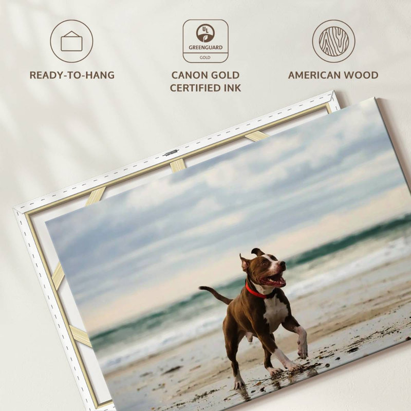 Brampt Pit Bull On Beach, 34" H x 51" W