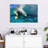 Crowle Diving Polar Bear-111979178