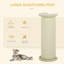 Scratching Post
