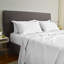 City Sateen Fitted Sheet-226141816-226141821