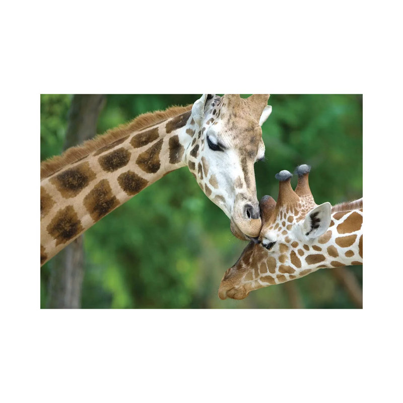 Giraffe In Love by Goran Anastasovski - Wrapped Canvas Print, 20.32 cm H x 30.48 cm W