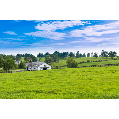 " Green Pastures Of Horse Farms. " by Volgariver