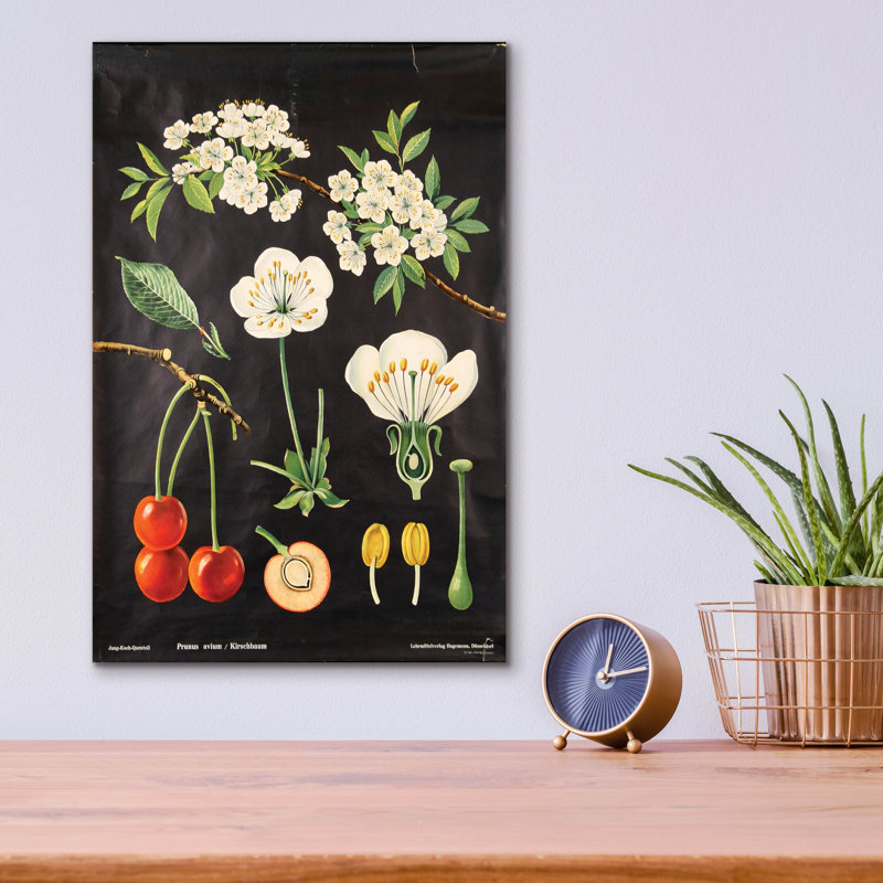 «Eat Veggies» par Vintage Posters, art mural en verre acrylique, H 16 po x l 12 po x P 0,13 po