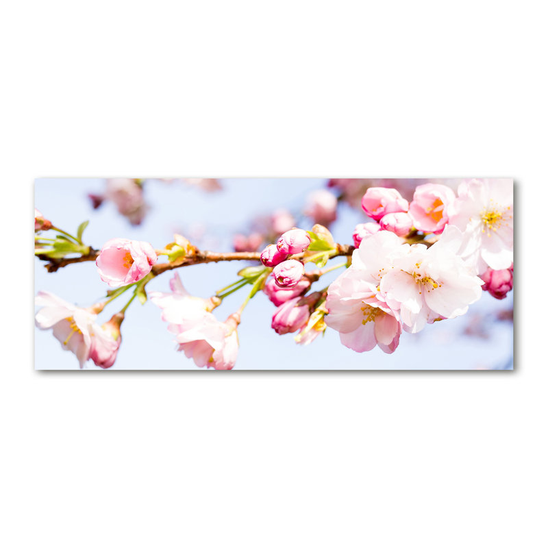 Cherry Blossoms - Wrapped Canvas Print