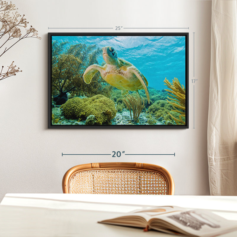 Turtle In Bonaire Reef Canvas Print, 17" H x 25" W