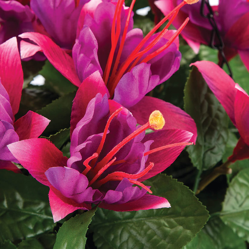 Panier fuchsia OakRidge entièrement assemblé, Rose